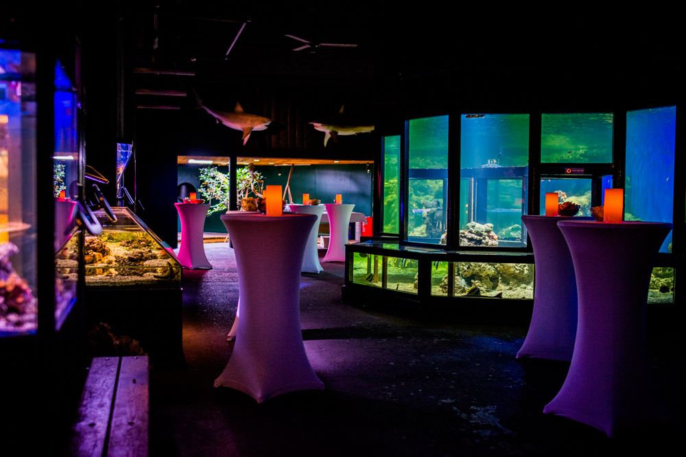 premium djs-hyra dj-stockholm-färgglad ljussättning av lounge